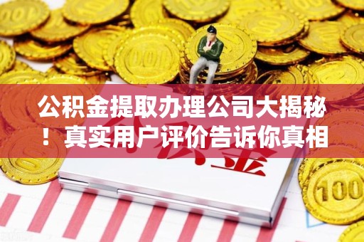 灵璧公积金提取办理公司大揭秘！真实用户评价告诉你真相